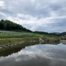 노을빛 풍경 이미지