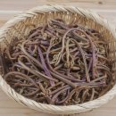 나젤코리아 이미지