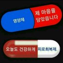 오늘도 예쁜 하루