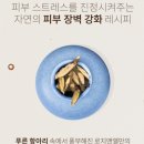 (주)리플러스 이미지