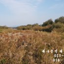 탑소개소 네이버블로그