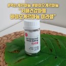 서해건강마을