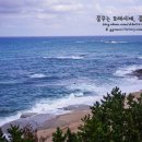 바다정원 이미지