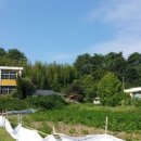 신흥 초등학교 이미지