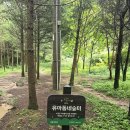 유아동네숲터 이미지