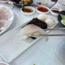 해맞이타운 | [경주] 경주 감포 맛집 ‘해맞이 회타운’ | 가성비 좋은 코스요리 횟집 솔직 후기