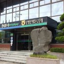 입면농협 이미지