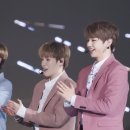 핑크(pink) 이미지