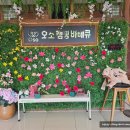 지산로 | 평택 오소캠핑바베큐 내돈내산 │가족 모임으로 다녀온 캠핑 바베큐 후기
