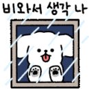 거울보는 강아지 이미지