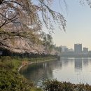 스위트원룸텔 이미지