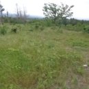 중문동-1 이미지