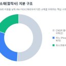 연씨앤피