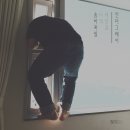 더그레이문 이미지