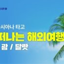 모아국제여행사