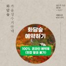썸텔 티스토리