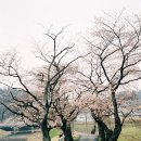 함벽정 이미지