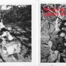 백년 농장 이미지