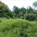 늘목리 진료소 이미지