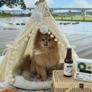 니멍내멍 이미지