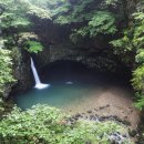 나무와숲한의원 이미지