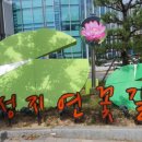 성지연꽃길 네이버블로그