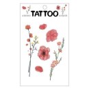 팬시나라 이미지