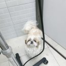 더조은동물의료센터 이미지