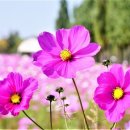 1-9호공원 이미지