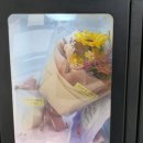 참좋은당신자판기