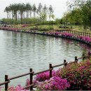 신나는 댄스 음악 모음 이미지