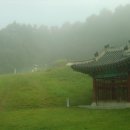 신라연가 이미지