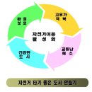 08,6월27일 부산시 자전거 이용 활성화 대책 회의 자료 이미지