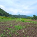 어성전보건진료소 이미지