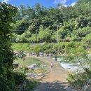 밤나무골농장 이미지