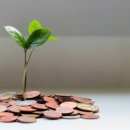 제일목장(2) 이미지