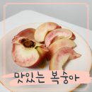 청수농장 | 청수농원 조치원 복숭아 딱복 농장직거래 후기