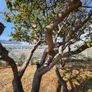 파동하부공원 | 수성유산지킴이 3월 연합활동