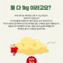 쏙빠짐점핑운동