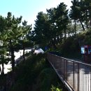 증산해변