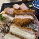 코끼리아프리카까스까스 네이버블로그