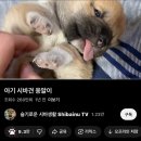 어라
