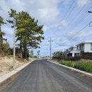 초이부동산중개 이미지