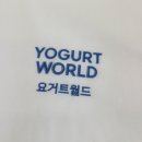 [요거트월드 마포점] 생망고 폭탄 요거트아이스크림 &amp; 고체 양쯔간루 추천 솔직후기 #내돈내산