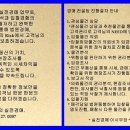 푸른솔로98번길 이미지