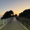 해운대블루라인(주)청사포정거장 | [열차 시간표][2025.12.28] 부산 해운대구 중동, 해운대 블루라인파크, 청사포정거장 요금표