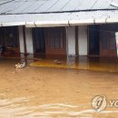 완도18호 이미지