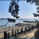 일상탈출펜션 | 무안숙소 바다로 둘러싸인 일상 탈출 펜션 후기