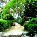 부산의 아름다운 금강공원 이미지