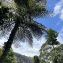 호주도 민박 | 시드니숙소추천 ｜ 한인민박부터 하버뷰호텔까지, 가성비 호주여행 총정리